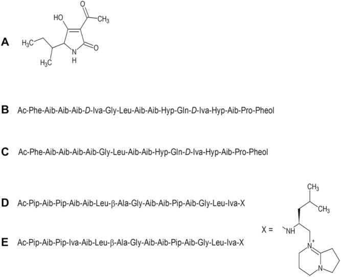 Figure 5.