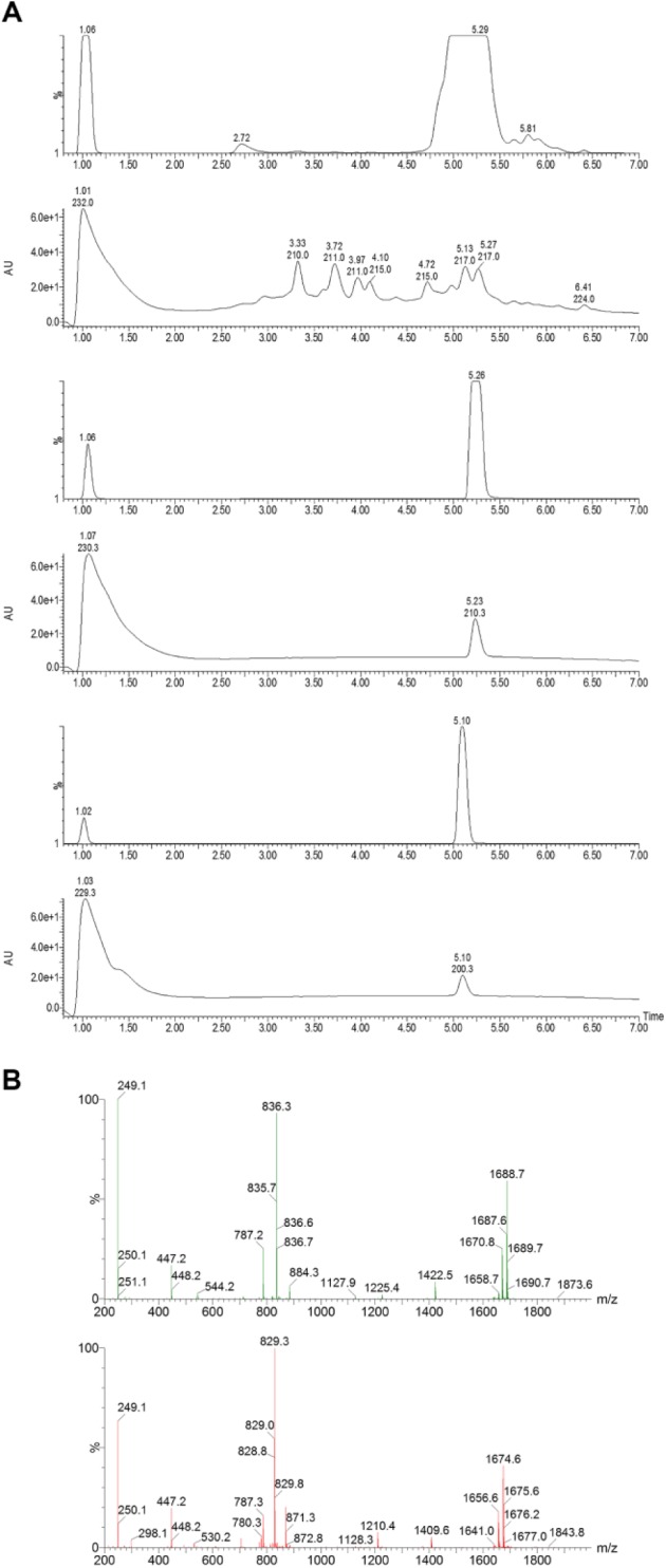 Figure 4.