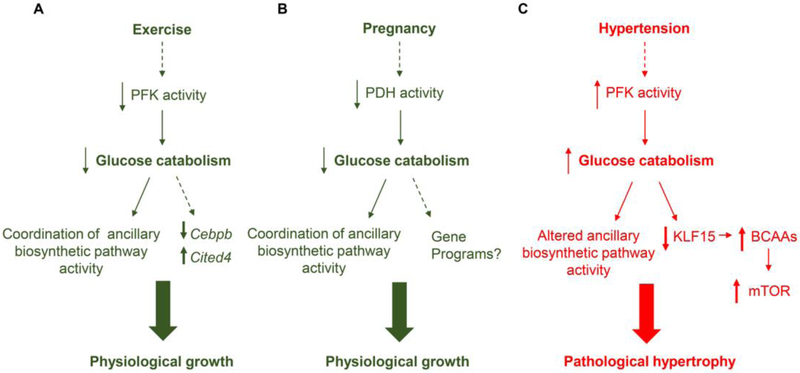 Fig. 2: