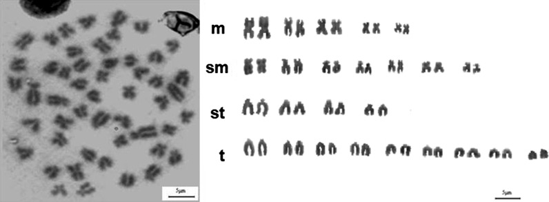 Fig. 8