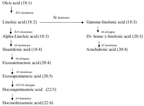 Fig. (2)