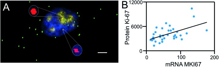 Fig. 9