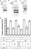 FIGURE 11.