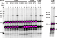 FIGURE 14.