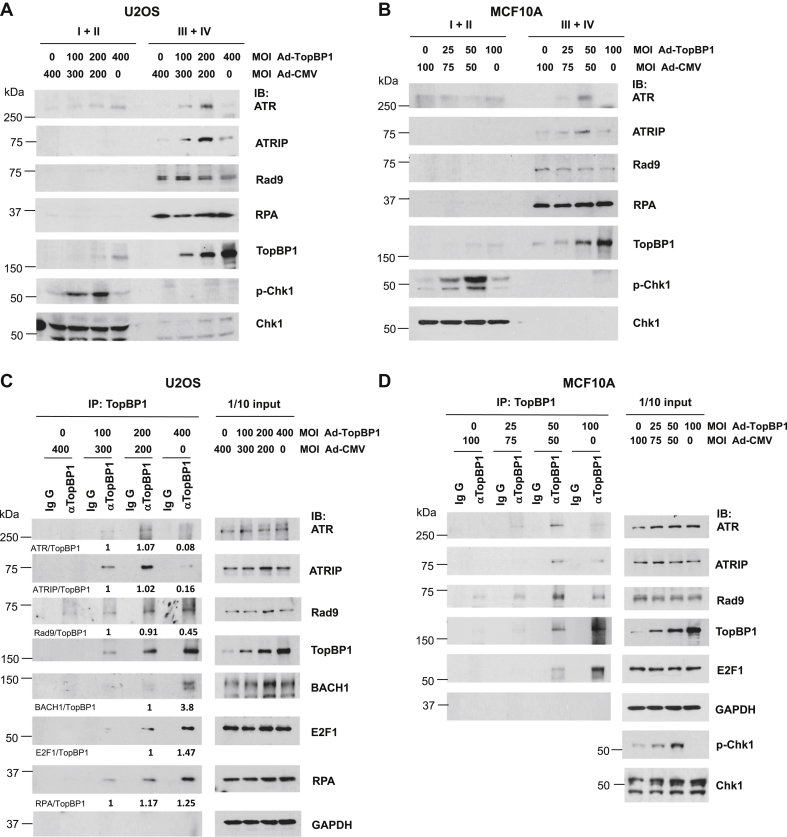 Figure 4