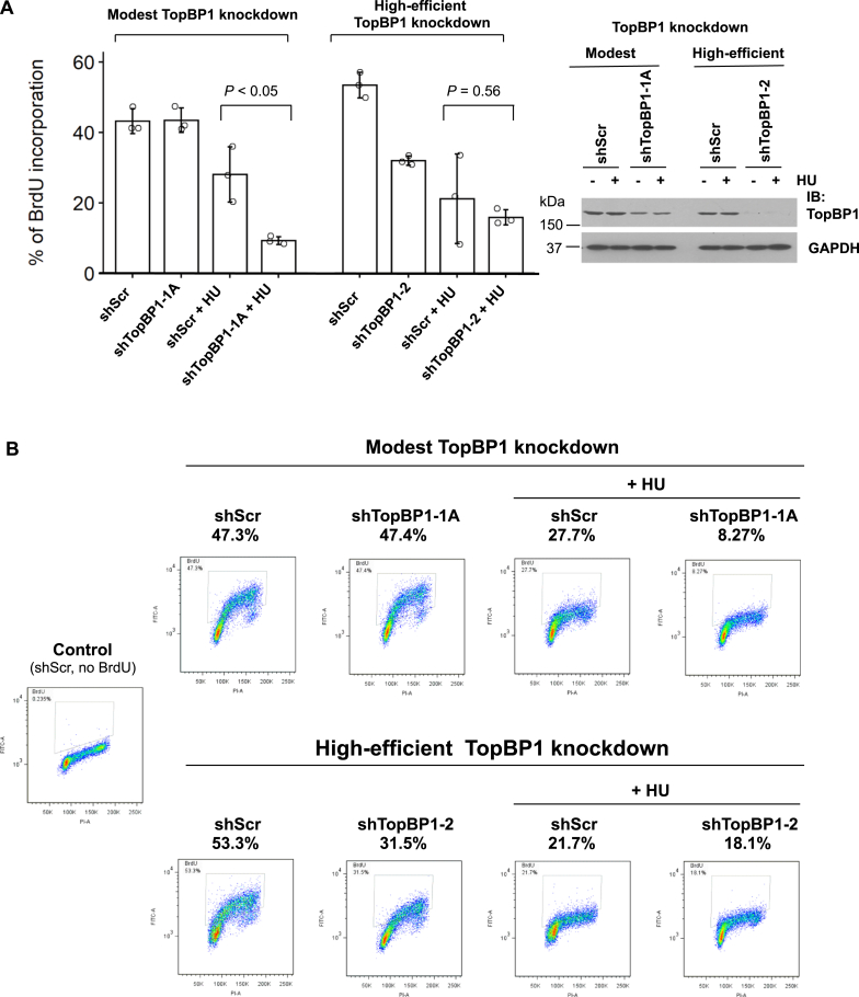 Figure 6