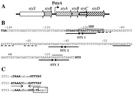 FIG. 1.