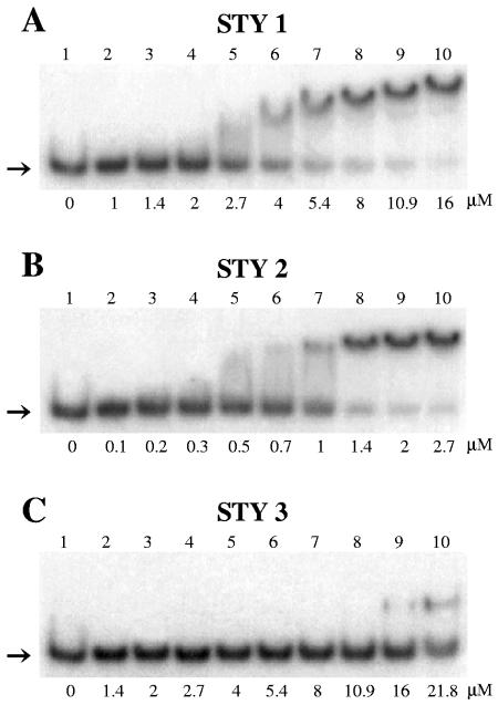 FIG. 3.