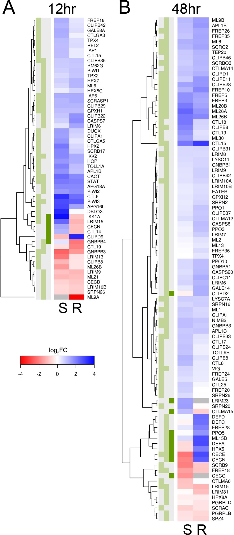 Fig 4