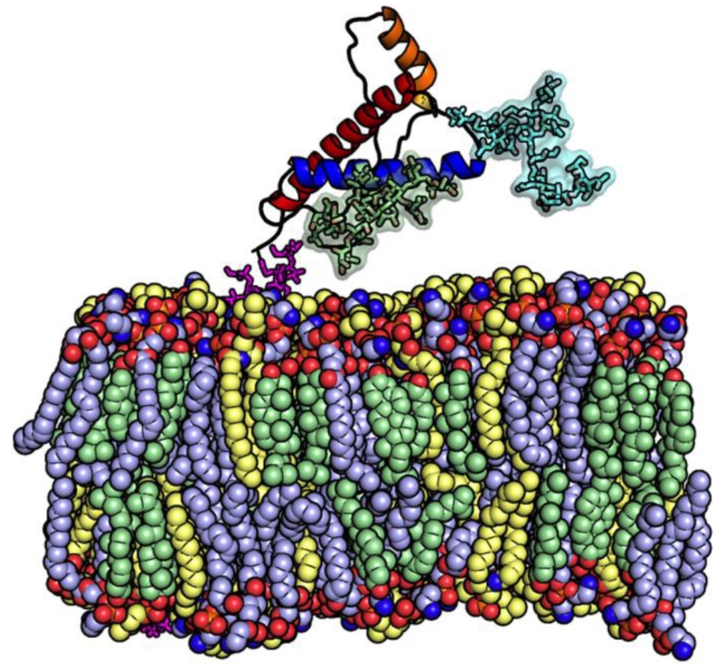 Figure 7