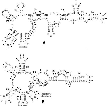 FIGURE 3.