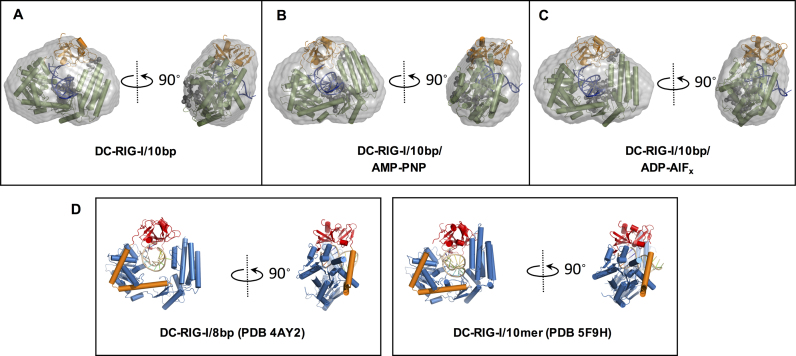 Figure 5.