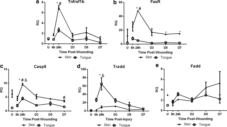 Figure 5.