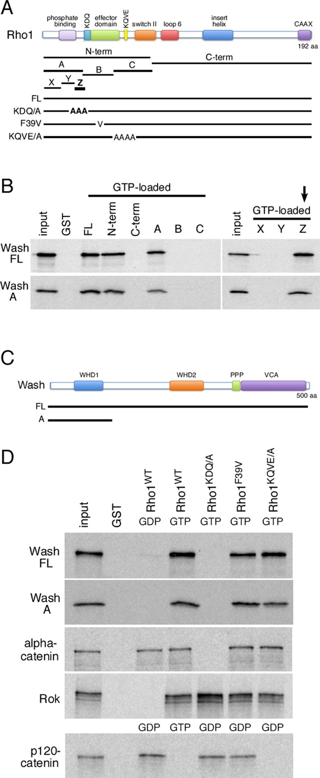 FIGURE 3: