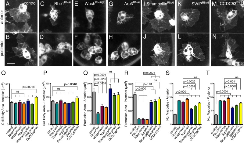 FIGURE 6: