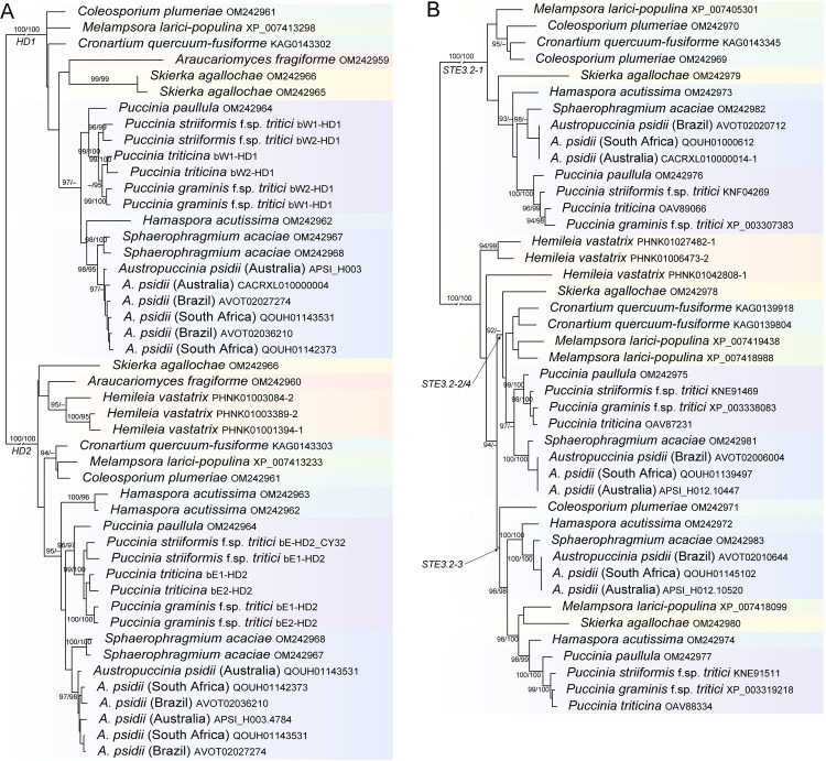 Fig 1