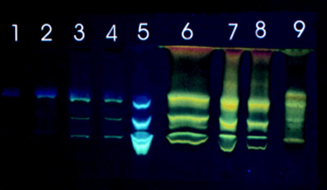 Figure 4  