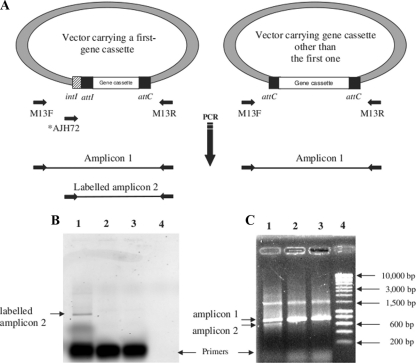 FIG. 2.