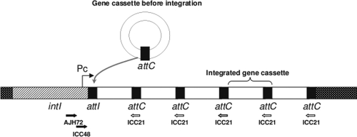 FIG. 1.