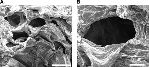 FIG. 5.