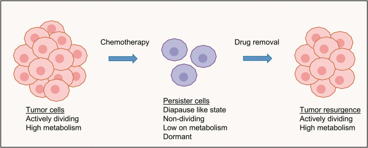 Figure 3.