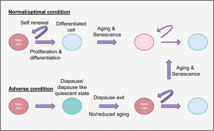 Figure 2.