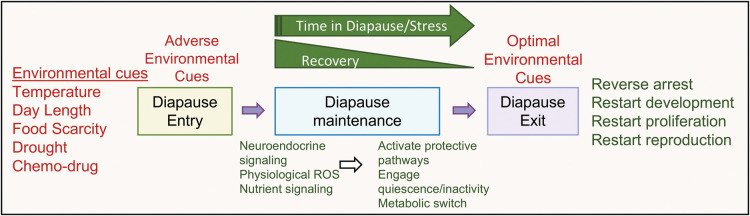 Figure 1.