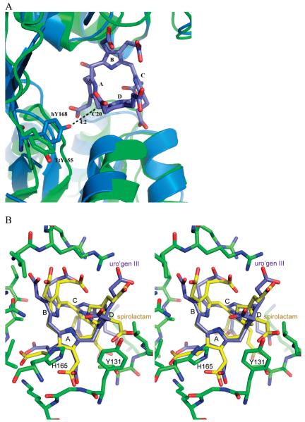 Figure 5