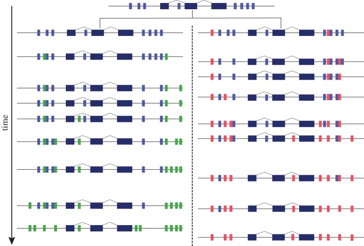 Figure 3.