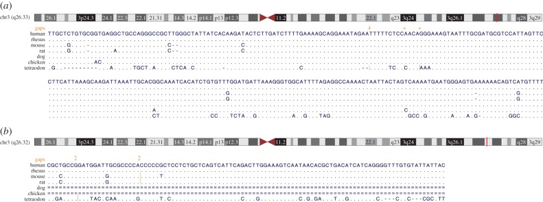 Figure 1.