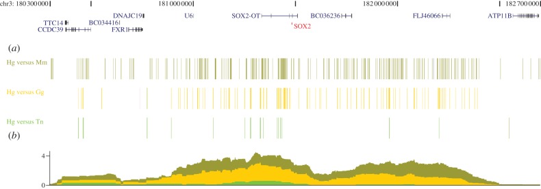 Figure 2.