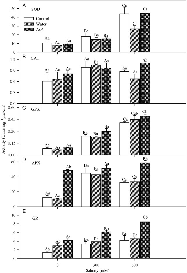 Figure 4.