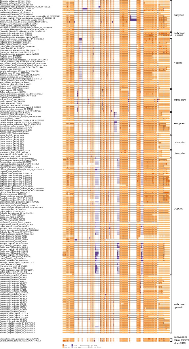 Figure 2—figure supplement 2.