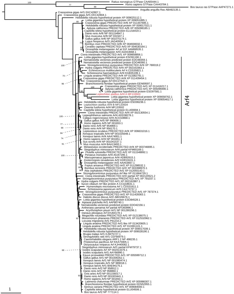 Figure 4—figure supplement 3.