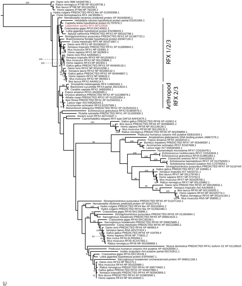 Figure 4—figure supplement 5.