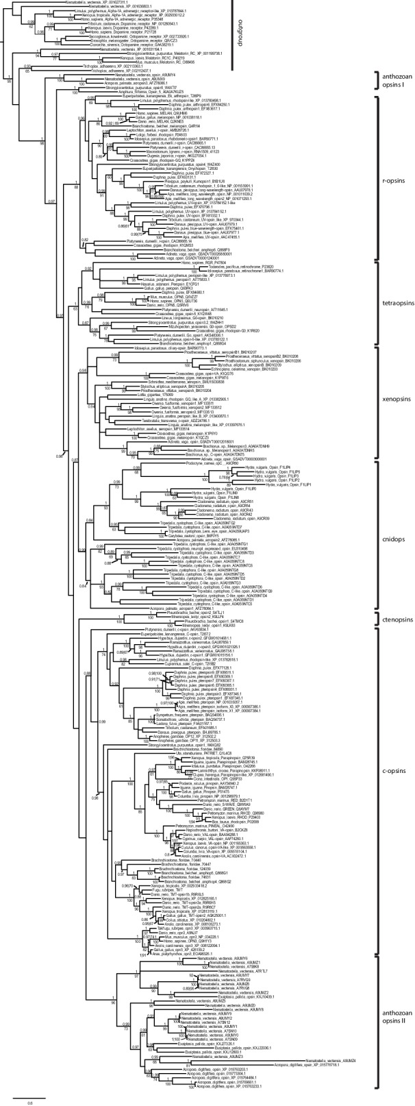 Figure 2—figure supplement 1.