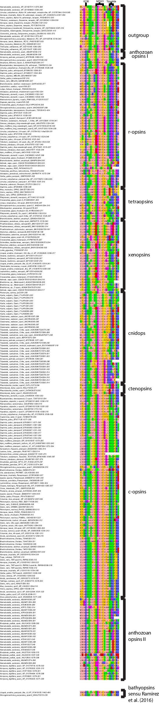 Figure 1—figure supplement 1.