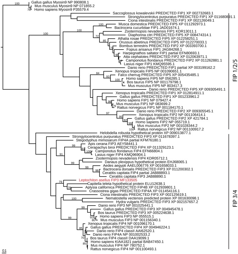 Figure 4—figure supplement 4.