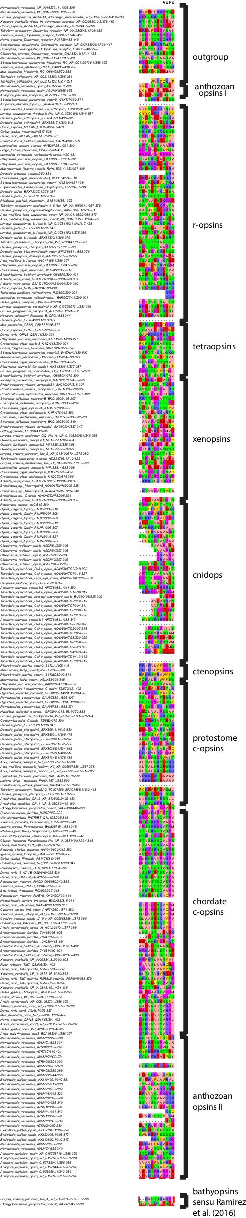 Figure 4—figure supplement 2.