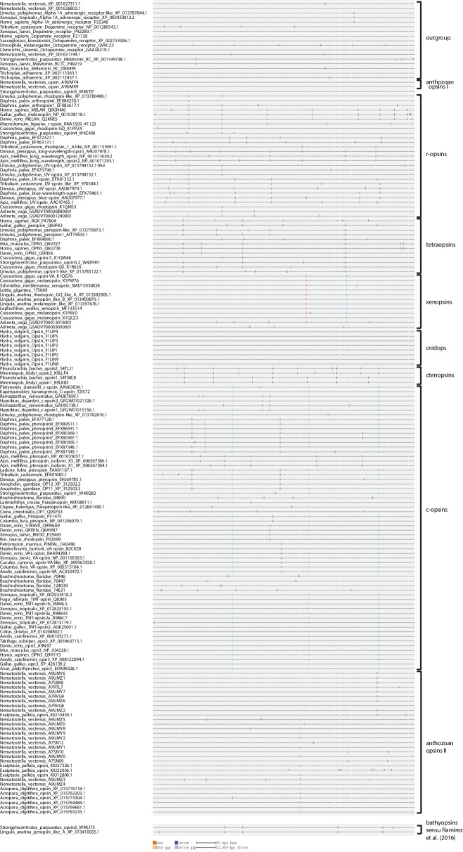 Figure 2—figure supplement 3.