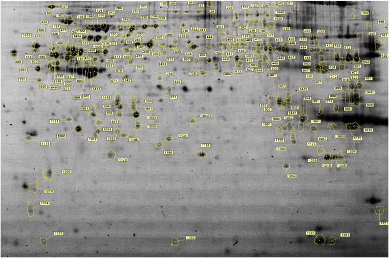 Functional genomics study of acute heat stress response in the small ...