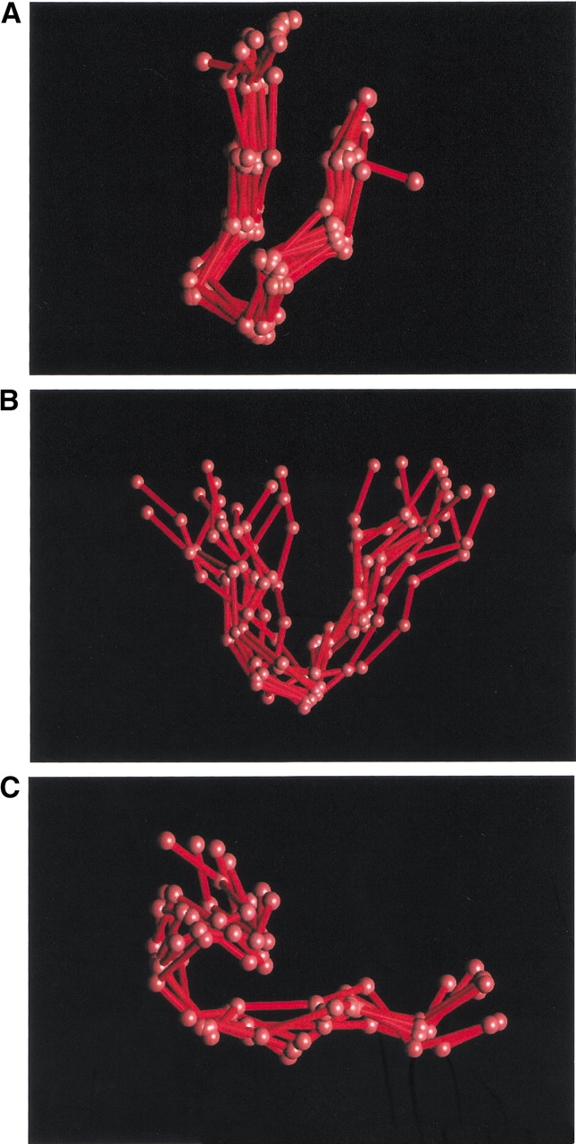 Fig. 9.