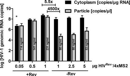 FIG. 2.