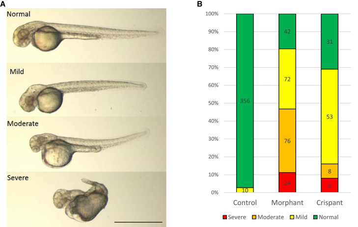 Figure 6