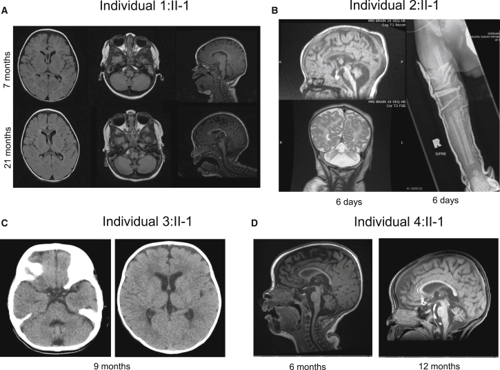 Figure 2