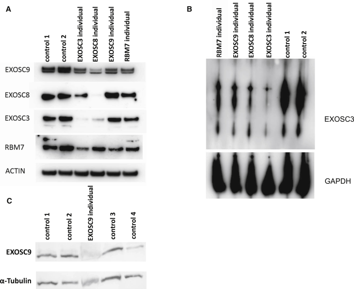 Figure 3