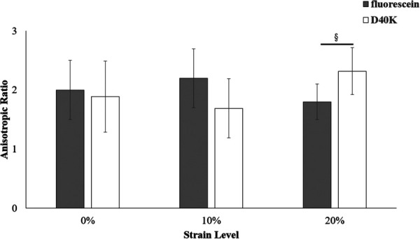 Strain-dependent anisotropic ratio of fluorescein (gray) and D40K (white). The anisotropic ratio was defined as the ratio between diffusion coefficient parallel to and orthogonal to the direction of the collagen fibers in the tissue. For all the data reported, (§) indicates statistical significance (p-value < 0.05) between molecules.