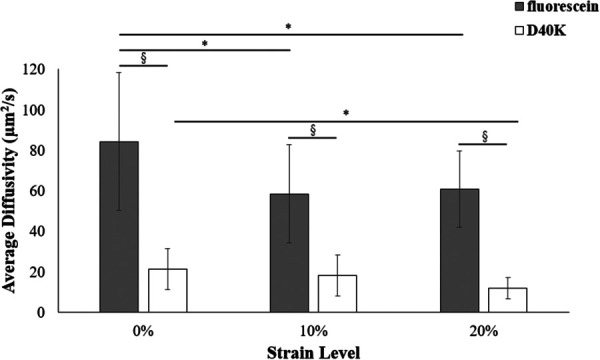 Strain-dependent diffusivity of fluorescein (gray) and D40K (white). For all the data reported, (*) indicates statistical significance (p < 0.05) across compression levels and (§) indicates statistical significance (p < 0.05) between molecules.