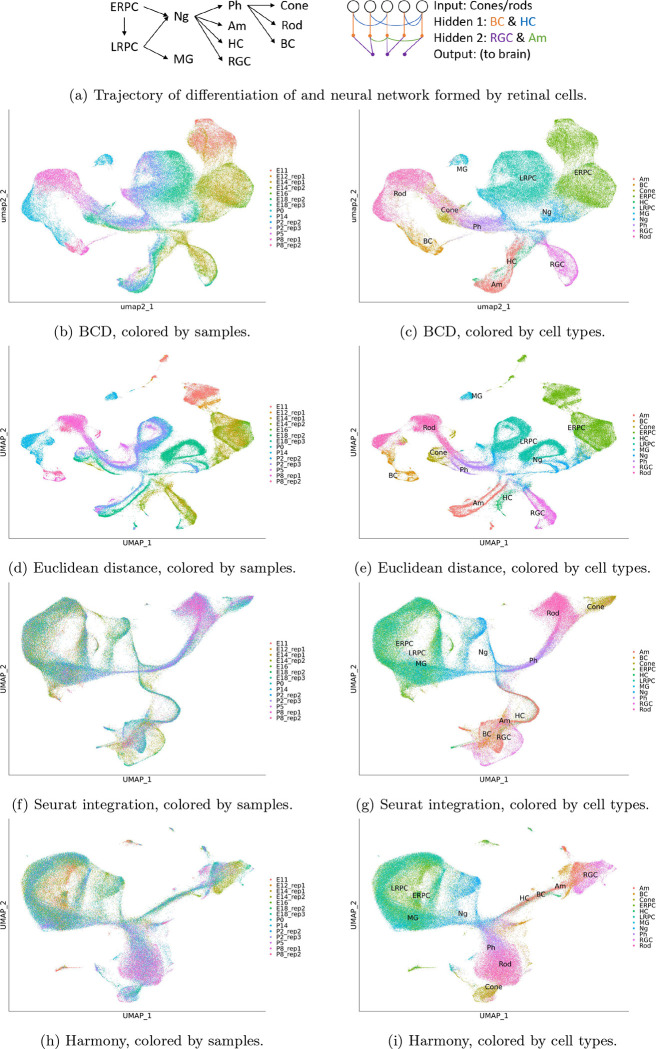Figure 3: