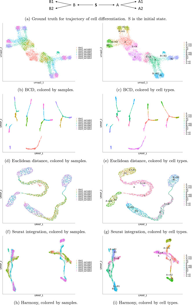 Figure 2: